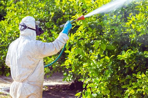 Insecticidas Orgánicos Y Biorracionales Una Clave Sostenible Para El