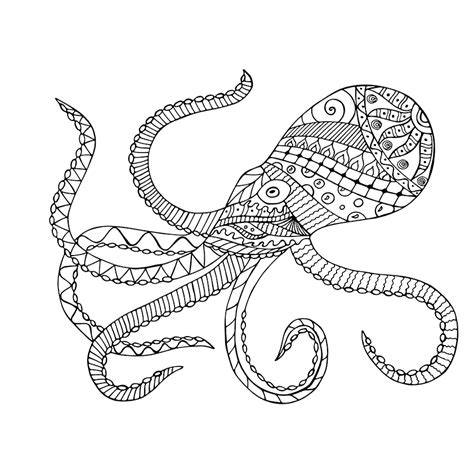 Squid Coloring Pages at GetColorings.com | Free printable colorings pages to print and color