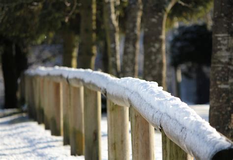 Fotos Gratis Rbol Agua Nieve Fr O Invierno Blanco R Stico