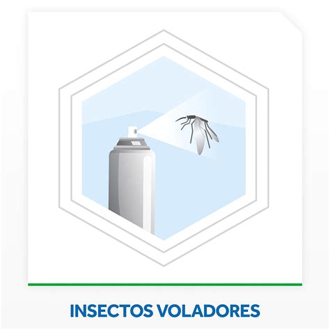 Insecticida Raid Mata Moscas Y Mosquitos Sin Olor En Aerosol 360 Cc Carrefour