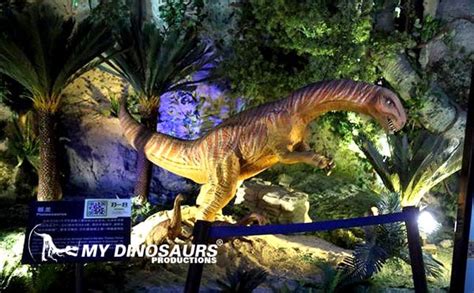 Versatile and Comprehensive Dinosaur Museum | My Dinosaurs