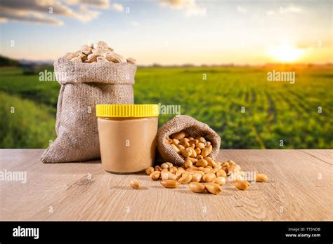 Roasted Peanuts And Peanut Butter Background Peanut Farm Stock Photo