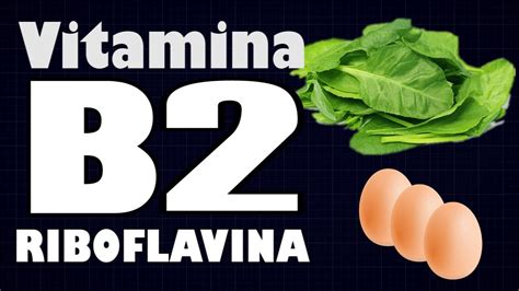 Vitamina B2 Riboflavina Funciones Y Fuentes De Alimento Youtube