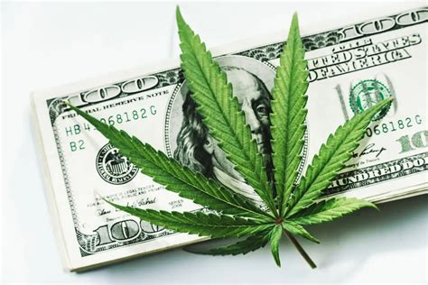 4 Benefits Of Payroll Software Cannabis Payroll Provider