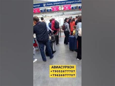 УЗБЕКИСТАН ХАВО ЙУЛЛАРИ ПУСТОЙ УЧМАЙ АКЦИЯ‼️ КИЛИЛАР‼️ #aviasurhon # ...