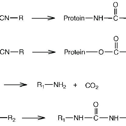 Commercial names and main characteristics of the isocyanates used in ...