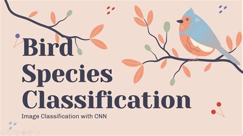 B Image Classification With Cnn Bird Species Classification