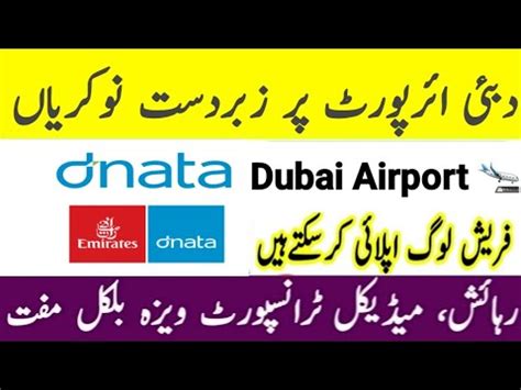 Jobs In Dnata Company Dubai Airport For Freshers Youtube