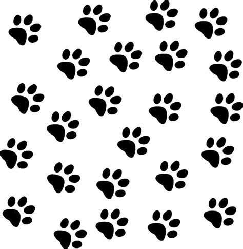 Of Cat Paw Prints Hd Phone Wallpaper Pxfuel