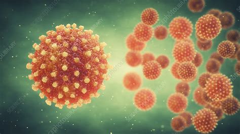 Hepatitis Viruses Illustration Stock Image F024 9756 Science