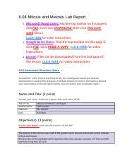 Understanding Mitosis And Meiosis Lab Report Essentials Course Hero