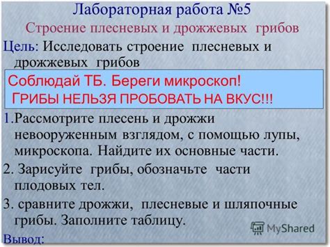 Контрольная работа по географии 9 класс по теме центральная россия ...