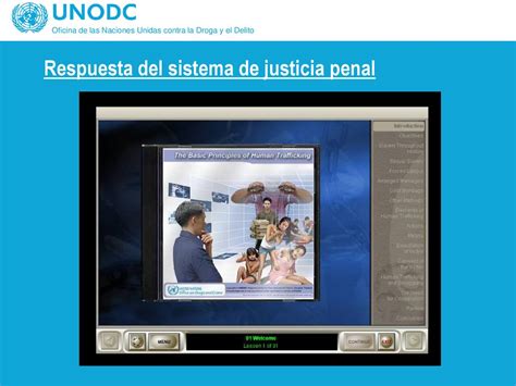 Oficina De Las Naciones Unidas Contra La Droga Y El Delito Ppt Descargar