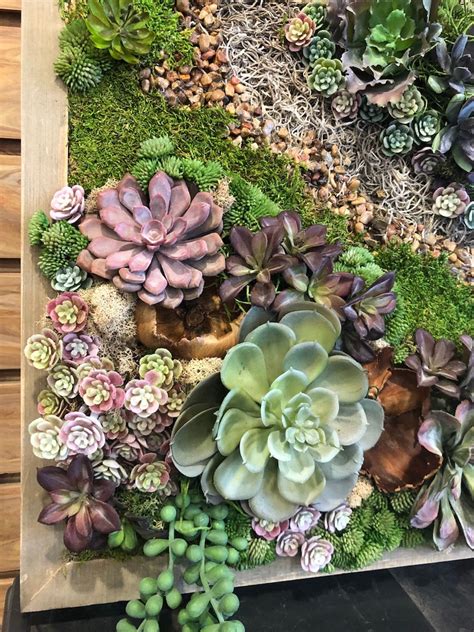 Faux Succulent Wall Art. Faux Succulent Arrangement. Vertical - Etsy