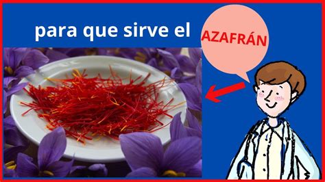 Azafr N Beneficios Para La Salud Para Que Sirve El Azafr N Youtube