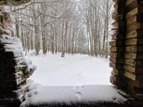 La Neve Imbianca Laspromonte Lo Spettacolo Della Dama Bianca Sui