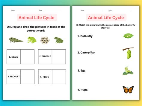 Interactive Worksheet 4th Grade Animal Life Cycle Worksheets