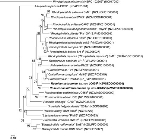 RAxML Based Phylogenomic Tree Of Strain JC645Tand JC635T Along With