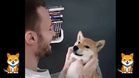 Natsu Le Kawaii Shiba De Squeezie YouTube