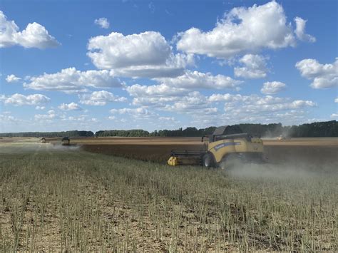 Рослинництво – Kusto Agro