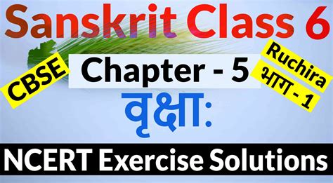 Ncert Solutions For Class 6 Sanskrit Chapter 5 वृक्षा