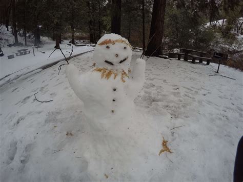 Palomar Mountain Snow Hiking