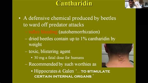 CANTHARIDES POISONS - YouTube