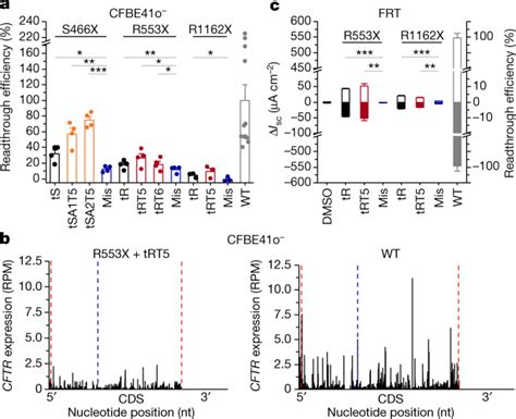 Engineered TRNAs Suppress Nonsense Mutations In Cells And In Vivo