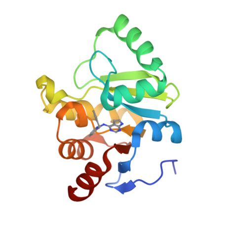 RCSB PDB 5SQZ PanDDA Analysis Group Deposition Crystal Structure