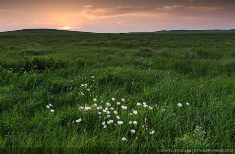 Flint Hills prairie - Kansas - Images | Dengler Images Photo Archive