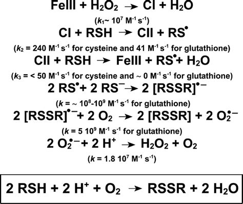 Catalytic Cycle Of Prxs In The Presence Of Thiols Showing The