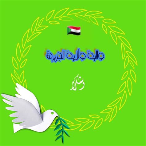 داليا الوالية