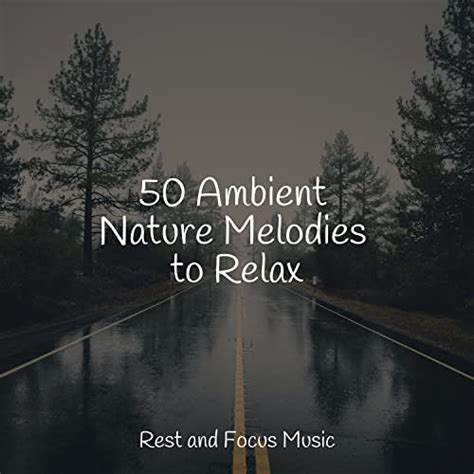 50 Ambient Nature Melodies To Relax By Instrumental Relajación