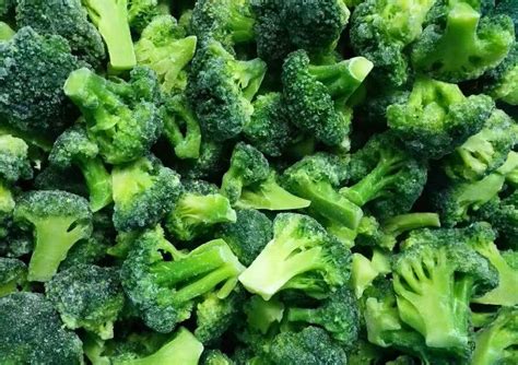 Organic IQF Frozen Broccoli China Supplier Factory Manufacturer