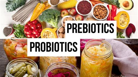 Phân Biệt Probiotic Và Prebiotic CÔng Ty Tnhh Dinh DƯỠng Viam NhÀ