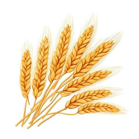 premium photo wheatgrainflatillustrationonwhitebackground