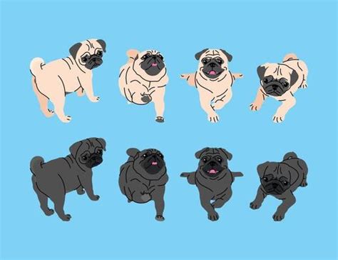 Black Pug Vector Art Icons And Graphics For Free Download