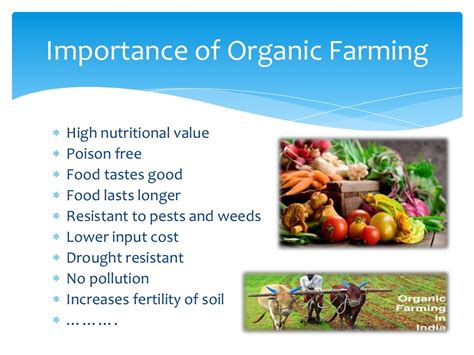 Ppt On Organic Farming B Plan