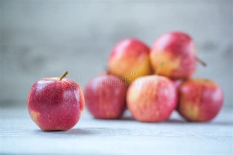 Royal Gala Apples Stock Image Image Of Gala Fruit Tree 1057597