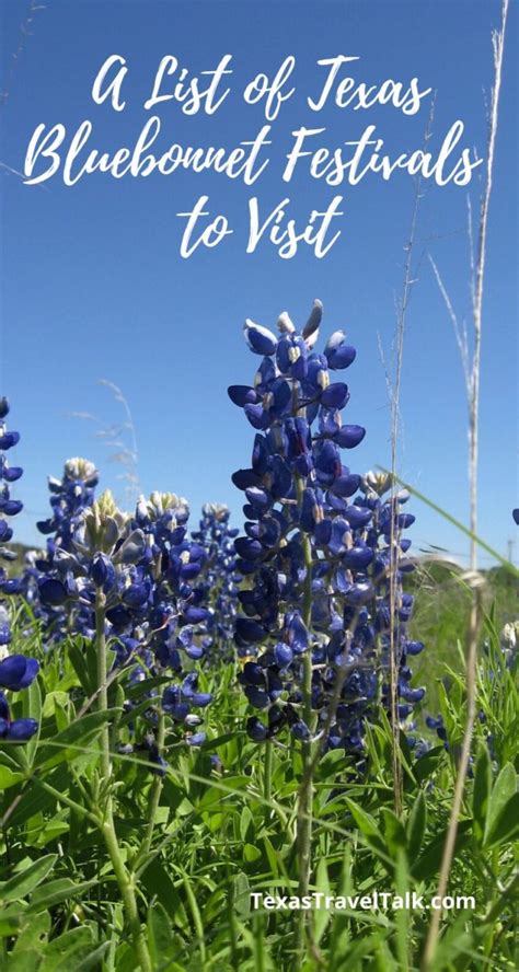 Bluebonnet Festivals in Texas to Visit With Family (Updated 2024 ...