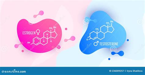 Hormones Oestrogène Et Testostérone Formule Moléculaire Squelettique