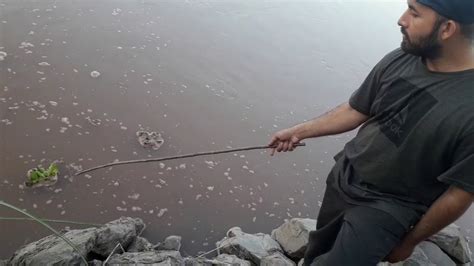 Catching Fish On River Side Natural Fish Hunting In Pakistan Machli