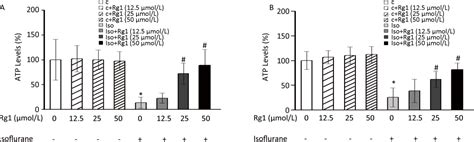 Figure 1 From Ginsenoside Rg 1 Attenuates Isoflurane Induced Caspase 3