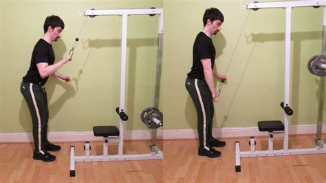 Cable One Arm Triceps Extension Single Arm Pushdown