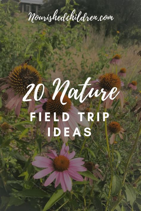 20 Nature Field Trip Ideas