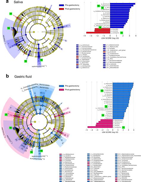 The Differentially Abundant Bacterial Genera Between Pre And