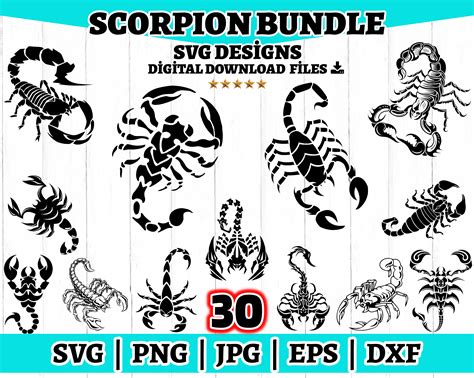 Scorpion Svg Scorpion Svg Bundle Scorpion Clipart Scorpion Vector