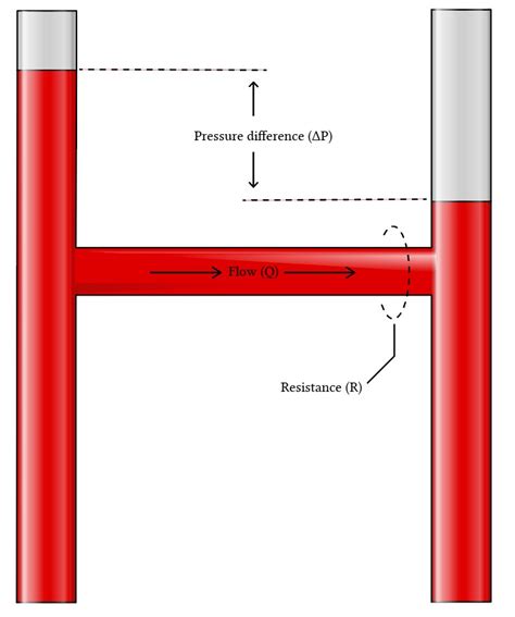 Physiology of pulmonary artery wedge pressure measurement | Deranged ...