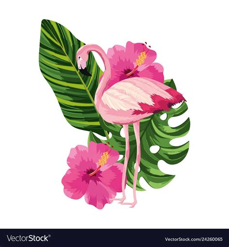 Tropical Flamingo Cartoon Royalty Free Vector Image Flamingo Art