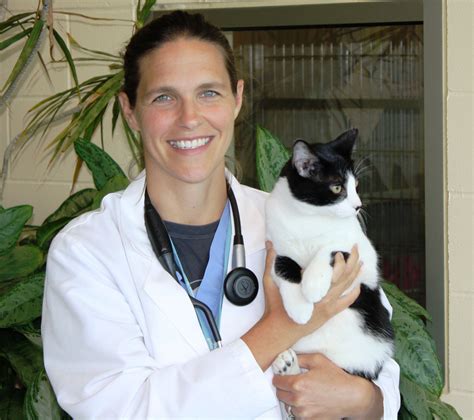 cats urinary blockage 10